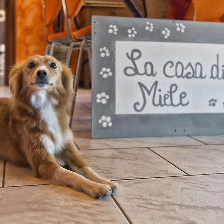 Marcignago La Casa Di Miele Bed & Breakfast エクステリア 写真