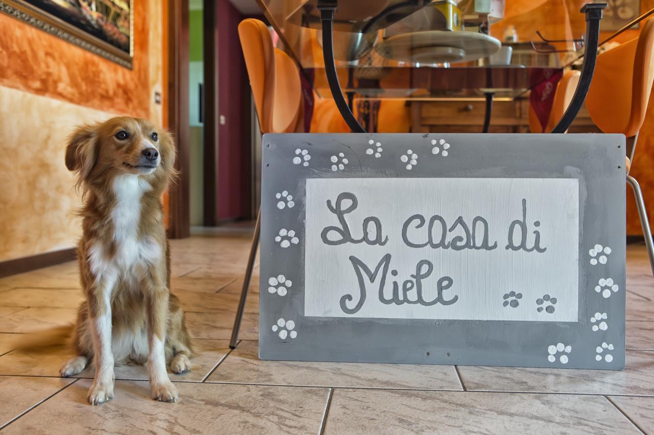 Marcignago La Casa Di Miele Bed & Breakfast エクステリア 写真