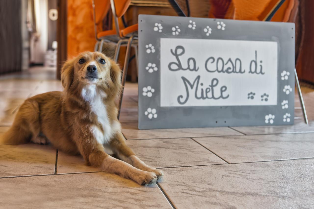 Marcignago La Casa Di Miele Bed & Breakfast エクステリア 写真